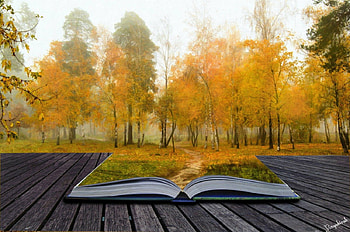 Autumn, book, art, trees, nature HD wallpaper