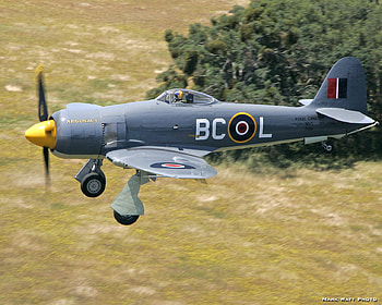 Hawker Sea Fury, sea, air force, raf, fighter, ww2, hawker, fury, war HD wallpaper