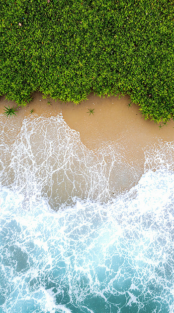 Serene Coastal Escape: A Tranquil , coast, ocean, beach, greenery, wave, Ocean Waves HD phone wallpaper