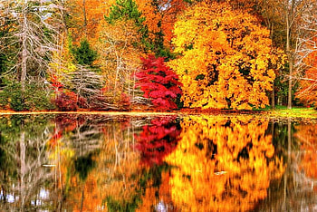 Autumn Reflections, fall, colors, orange, reflections, lake, green, red, trees, autumn HD wallpaper