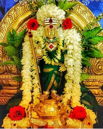Om murga, lei, petal HD phone wallpaper