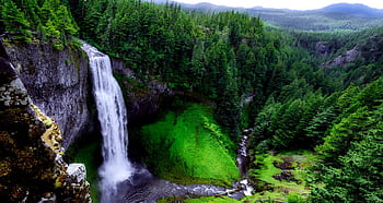 A breathtaking waterfall cascading into lush greenery in a serene forest setting. HD wallpaper