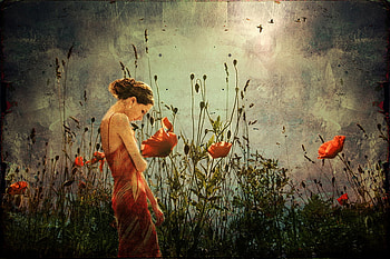 Look into the Center, poppies, nature, field, woman HD wallpaper
