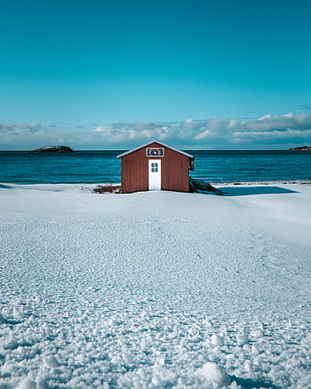 Charming isolated beach hut on a snowy shore with a calm ocean backdrop and clear winter sky. HD phone wallpaper
