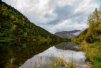 Nature, Grass, Mountains, Lake, Forest, Valley HD wallpaper