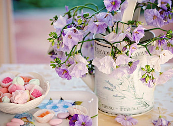 * Flowers and sweets *, purple, delicate, bouquet, petals, soft, sweetness, flowers, candy HD wallpaper