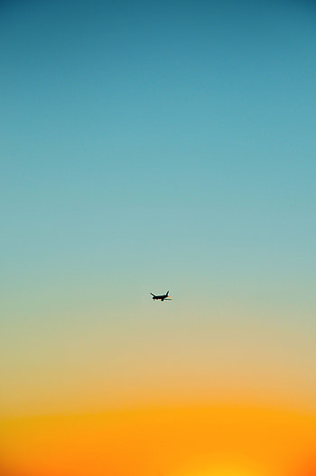 Sky, Minimalism, Flight, Plane, Airplane HD phone wallpaper