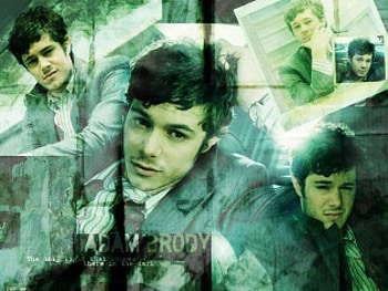 Adam Brody, the oc, thank you for smoking, in the land of women, gilmore girls, grind HD wallpaper