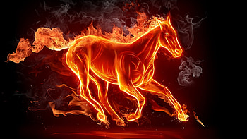 Animals, Horses HD wallpaper