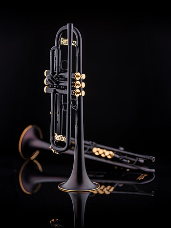 Timmy Trumpet, Schagerl intermediate brass, Musician showcase, Dynamic sound HD phone wallpaper