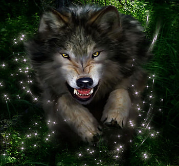 jump, abstract, wolf, fantasy, forest HD wallpaper