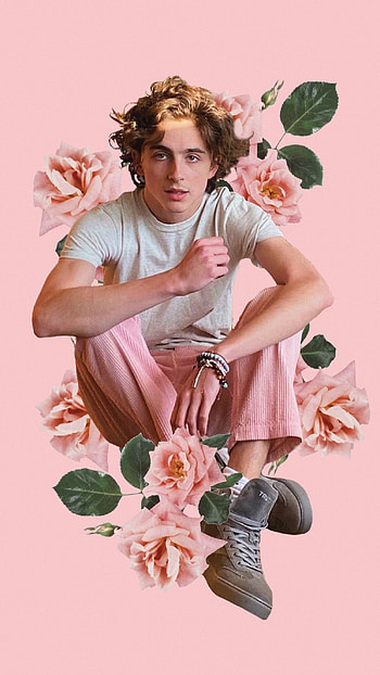 Timothee Chalamet, Wall collage artist, Creative visuals HD phone wallpaper