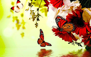SPRING FUN, butterflies, art, flowers, Monarches, spting, pond HD wallpaper