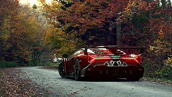 Autumn, Lamborghini Veneno HD wallpaper