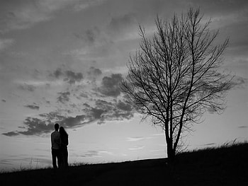 A Love Forever, graphy, love, sunset, black and white HD wallpaper