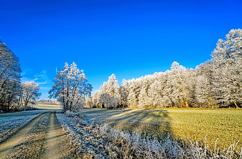Winter scenery, winter, frost, landscape, cold, beautiful, scenery, snow, trees, road, sky HD wallpaper