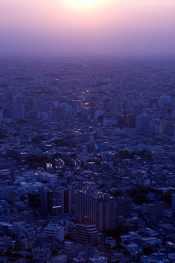 Cities, City, Building, Evening, Dahl, Distance HD phone wallpaper