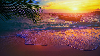 Sunset in Paradise, beach, palm trees, boat, sea, shore, sand HD wallpaper
