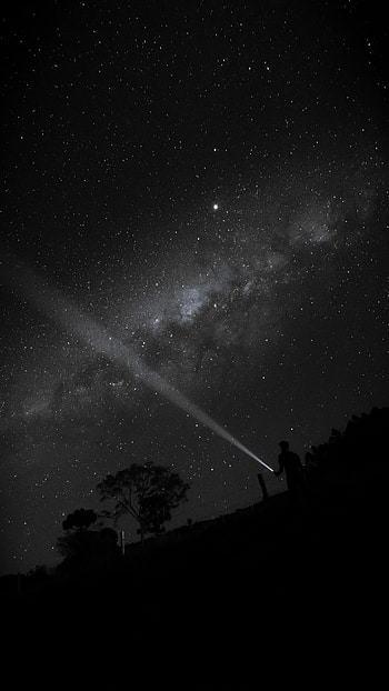 Flowers, Night, Starry Sky, Glow, Human, Person, Flashlight HD phone wallpaper
