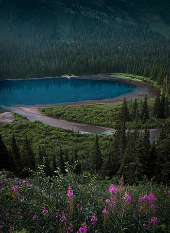 Landscape, Nature, Lake, Shore, Bank, Forest, Slope HD phone wallpaper