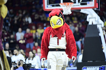 Louisville Cardinals, Rivalry and admiration, Collegiate sports, Team tradition HD wallpaper