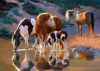 Horse Family on the Water, horses, water, animals, drink HD wallpaper