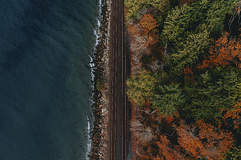 Nature, Water, View From Above, Coast, Forest, Railway HD wallpaper