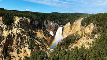 Lower falls of the Grand Canyon of the Yellowstone from Lookout Point, rocks, mountains, wyoming, trees, landscape, usa HD wallpaper