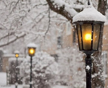 Winter Lamp, trees, nature, snow, lamp HD wallpaper