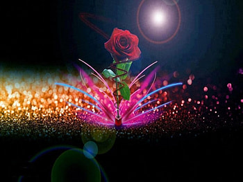 Red Rose, green leaves, glow, light, beautiful colors, glittering HD wallpaper