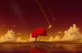 Girl Cherry Blossom Night , anime-girl, anime, artist, artwork, digital-art, pixiv HD wallpaper