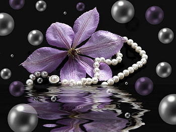 purple reflection, purple, pearls, flower, clematis HD wallpaper