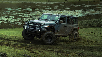 Jeep Wrangler Rubicon Offroading, jeep, wrangler, horse, cars, 2025-cars, hoot, offroading HD wallpaper