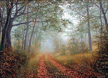 Arkady Oleynikov. Forest fog, mist, fog, painting, art, path, nature, forest, arkady oleynikov HD wallpaper