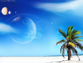 Dreamy wonderful beach, sand, moon, palm, beach HD wallpaper
