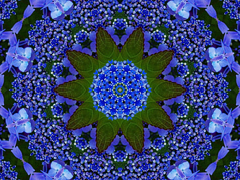Kaleidoscope, blue, flower, nature, flowers HD wallpaper