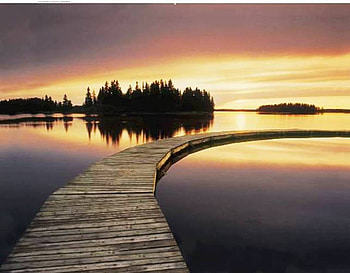 Sunset Walk, boardwalk, trees, water, sun, lake, sunset HD wallpaper