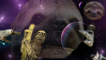 in class and created a sloth . I'm currently adding one sloth . HD wallpaper