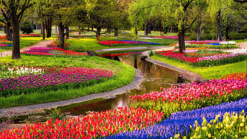Beautiful Spring Garden, colorful, garden, nature, flowers HD wallpaper