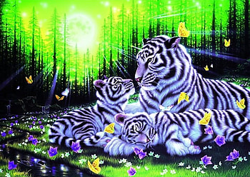 WHITE TIGER FAMILY, babies, white, tiger, family HD wallpaper