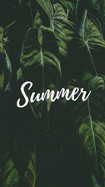 Leaves, Summer, Words, Inscription, Text, Word HD phone wallpaper