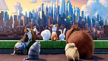 The Secret Life of Pets (2022) movie HD wallpaper