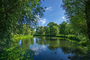 A tranquil lake scene with reflection of trees under a bright summer sky. HD wallpaper