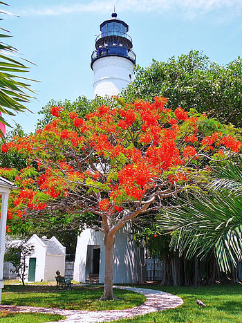 Key West travels, Key West lighthouse, Florida lighthouses HD phone wallpaper