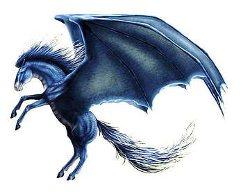 Blue Dragasus, fr, de, geyyh, rt, vrt, eh, gt HD wallpaper