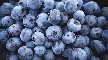 Food, Blueberry , resolution HD wallpaper