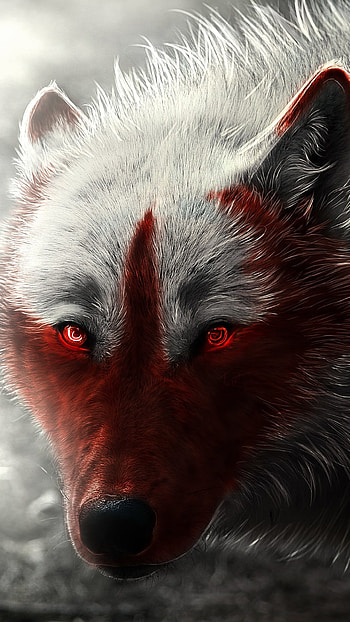 red eyes, stare, fantasy, wolf HD phone wallpaper
