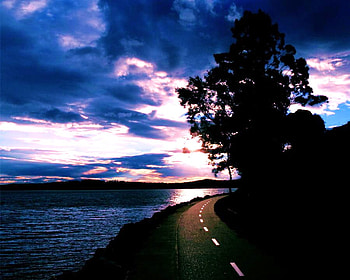 Night road, night, darkness, clouds, road, curve, sunset HD wallpaper