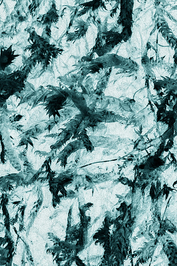 Ice, Macro, Texture, Grey HD phone wallpaper