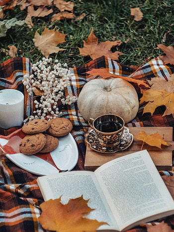 Tea, Autumn, Leaves, Cookies, Pumpkin, Miscellanea, Miscellaneous, Book HD phone wallpaper